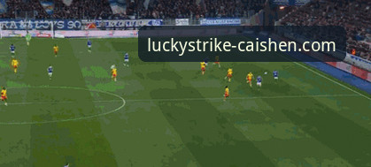 遗憾缺席与战术悬念：帕尼切利伤退世界杯 vs 在财神棋牌官网追踪赛事动态的体验